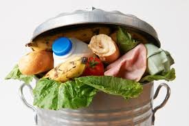 cities-must-play-key-role-in-addressing-food-waste-states-fao-chief